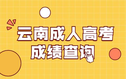 2021年云南省成人高考成绩查询入口